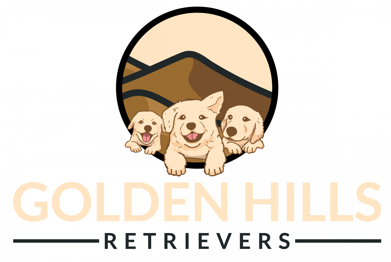 Golden Hills Retrievers HOME
